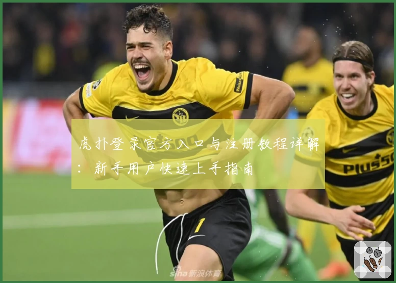 虎扑登录官方入口与注册教程详解：新手用户快速上手指南