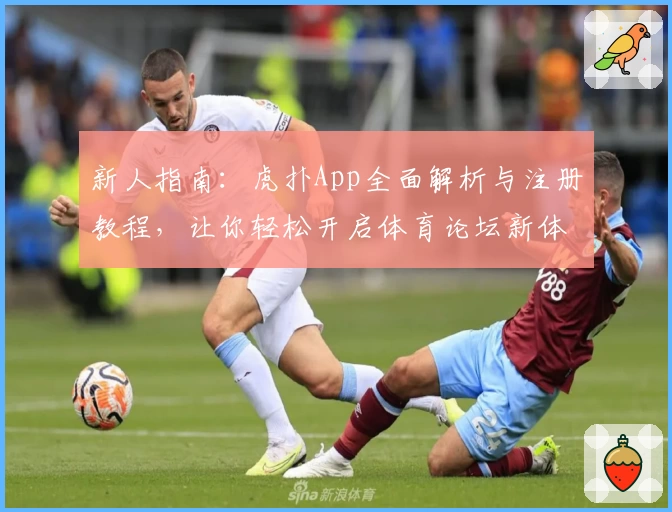 新人指南：虎扑App全面解析与注册教程，让你轻松开启体育论坛新体验